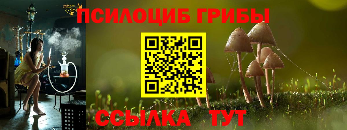 Псилоцибиновые грибы Magic Shrooms  Вход с VPN  Псилоцибиновые грибы Psilocybe  Ржев 